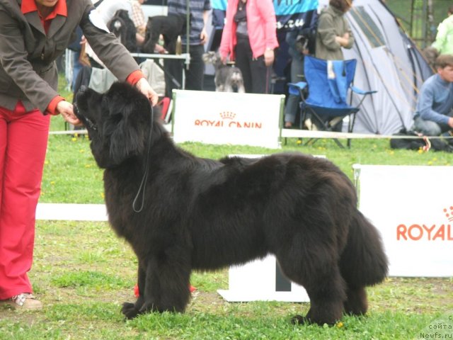 Фотография № 68184