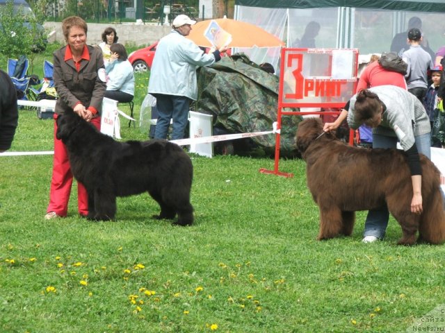 Фотография № 68185