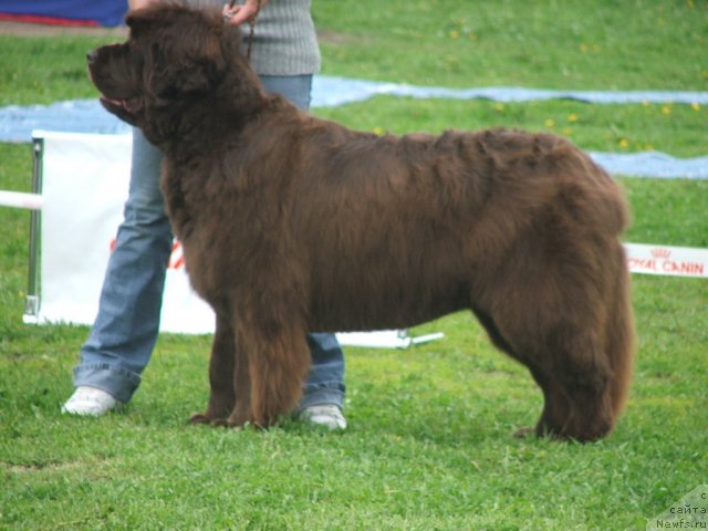 Фотография № 68186