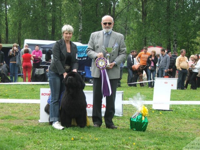 Фотография № 68187