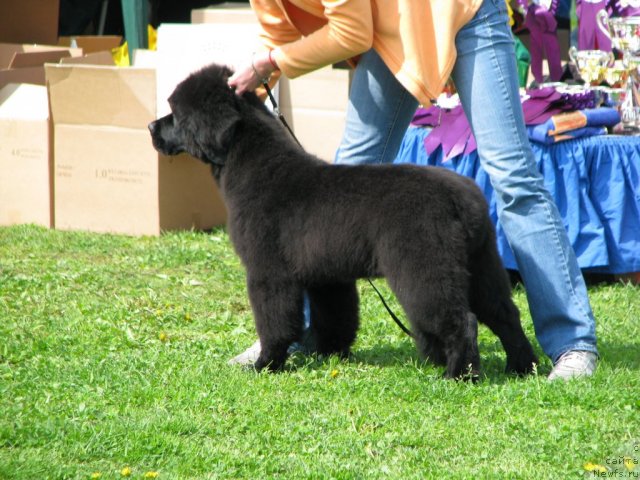 Фотография № 68190