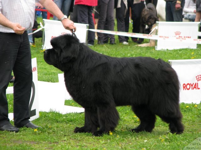 Фотография № 68284