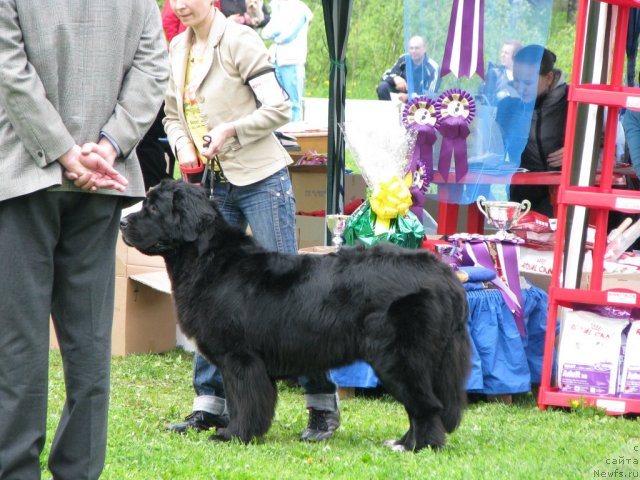 Фотография № 68294