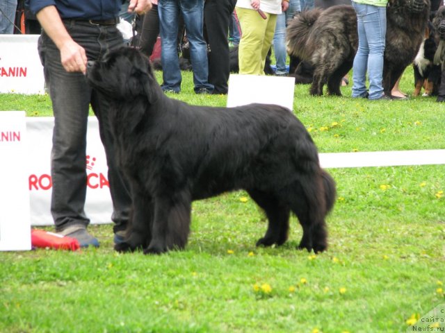 Фотография № 68296