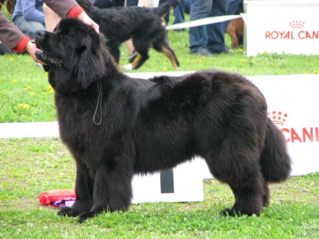 Фотография № 68301