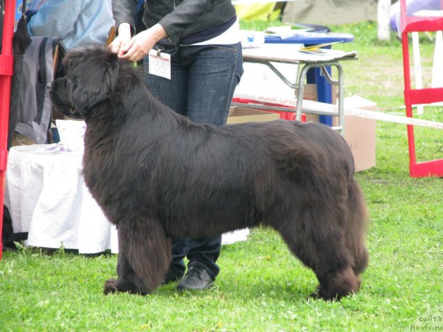 Фотография № 68304