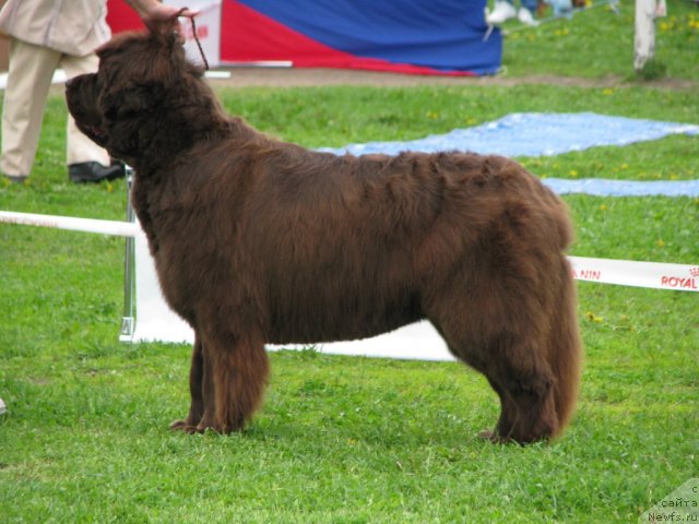 Фотография № 68305