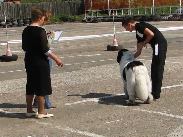 Фотография № 68312