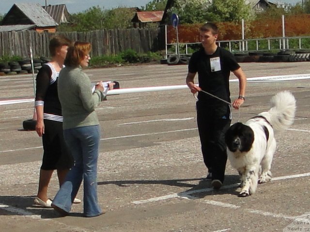 Фотография № 68316