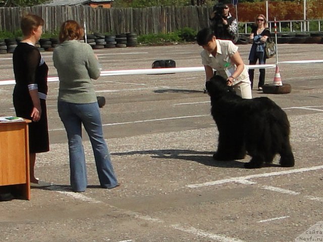 Фотография № 68320