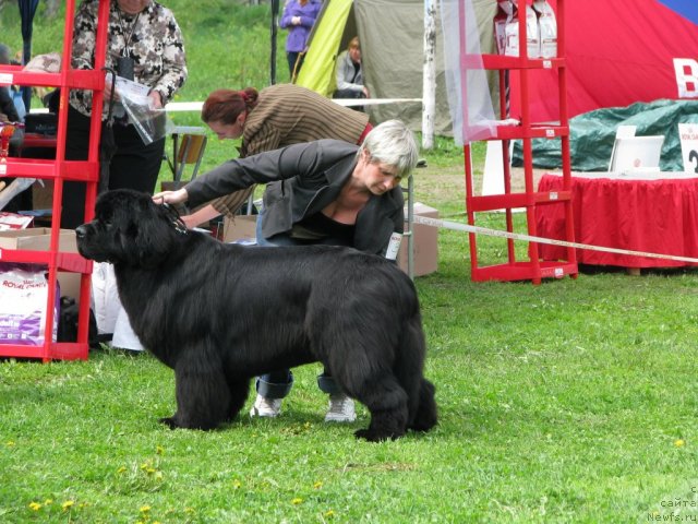 Фотография № 68322