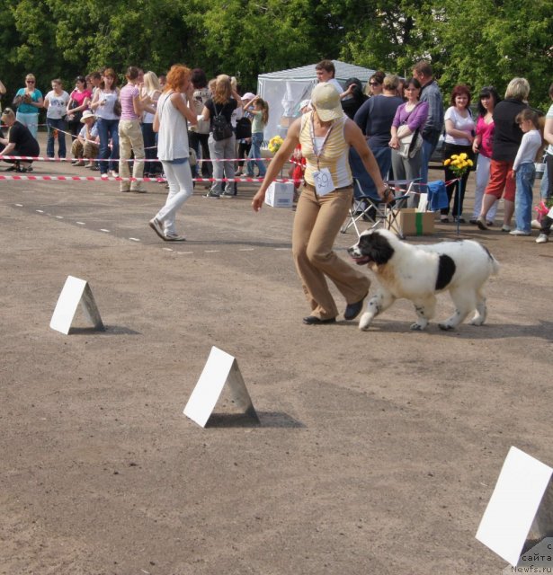 Фотография № 68328