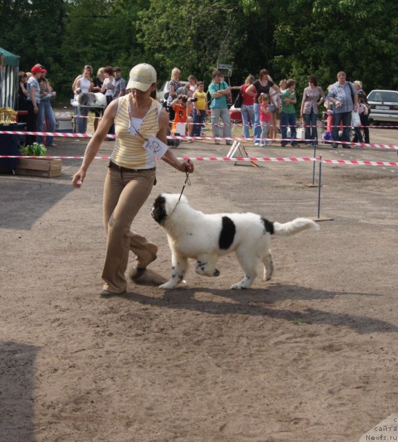 Фотография № 68329