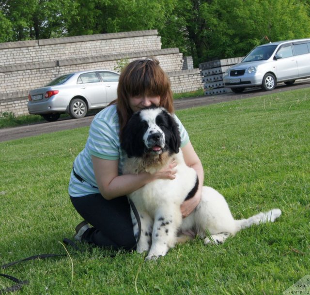 Фотография № 68332