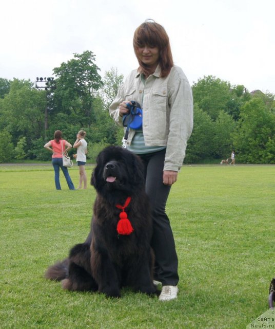 Фотография № 68333