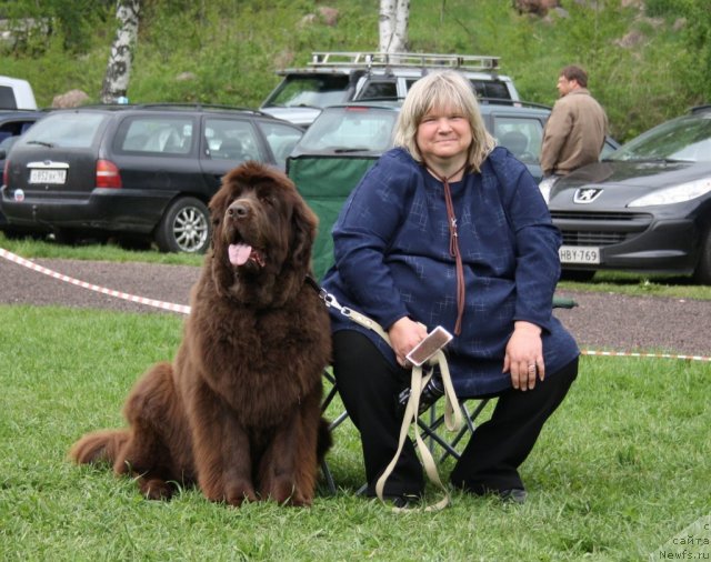 Фотография № 68356