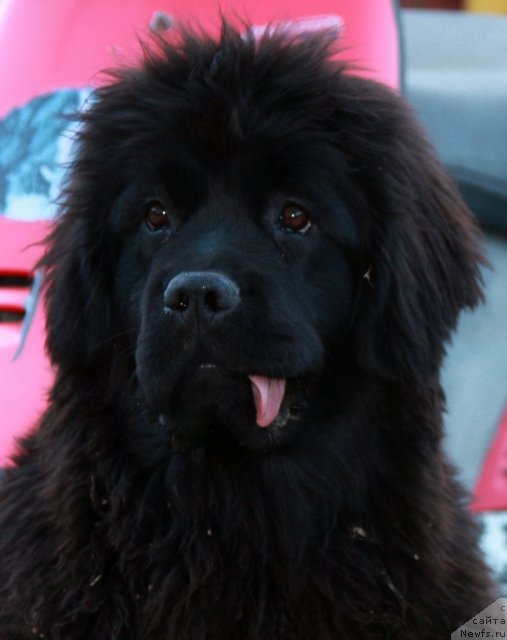 Фотография № 68388