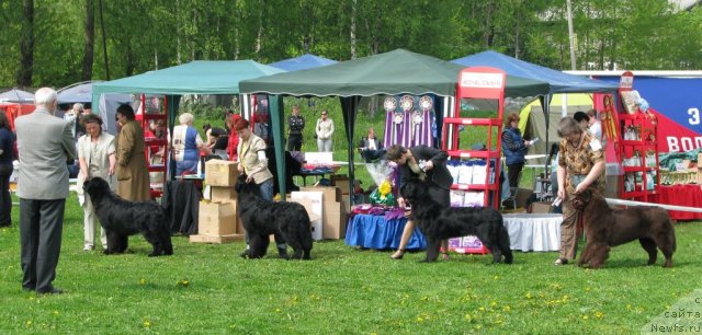 Фотография № 68412