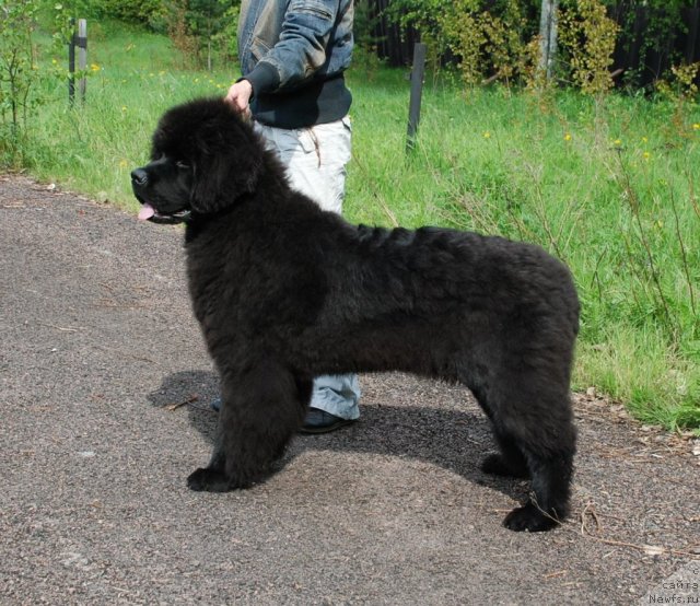 Фотография № 68419