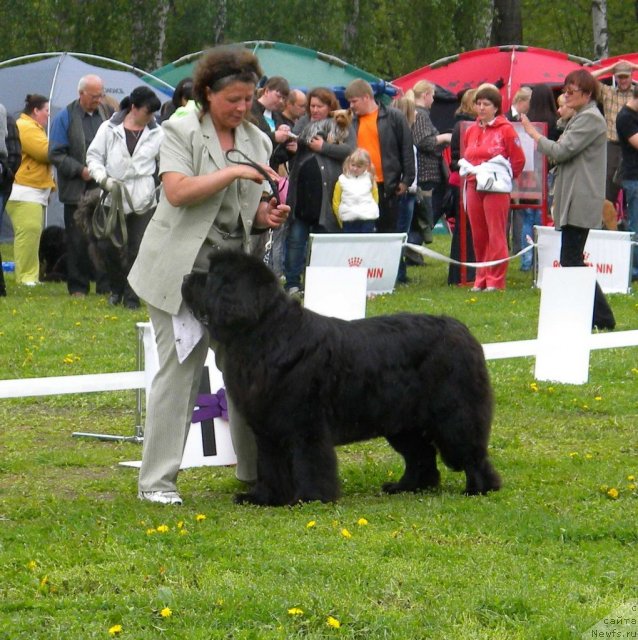 Фотография № 68420