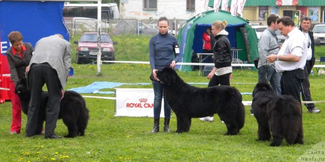 Фотография № 68426