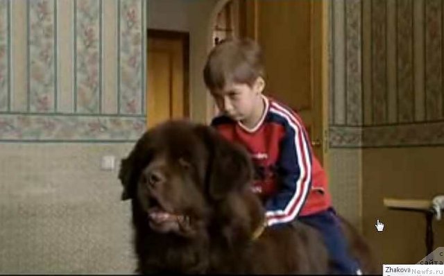 Фотография № 68478