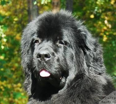 Фотография № 6855