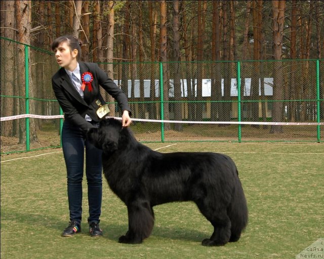 Фотография № 68628