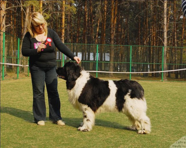 Фотография № 68788