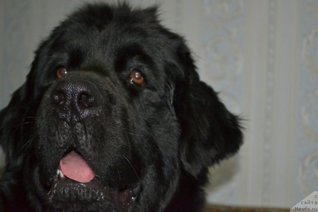 Фотография № 68868