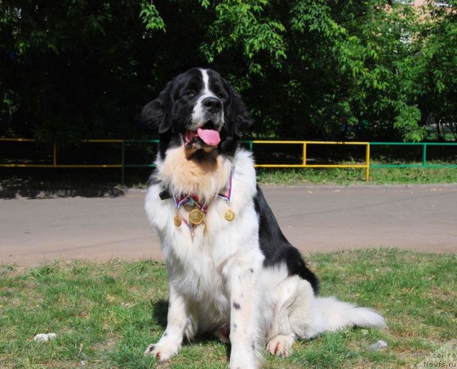 Фотография № 68871