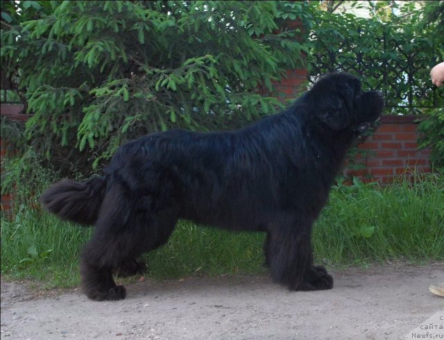 Фотография № 68912