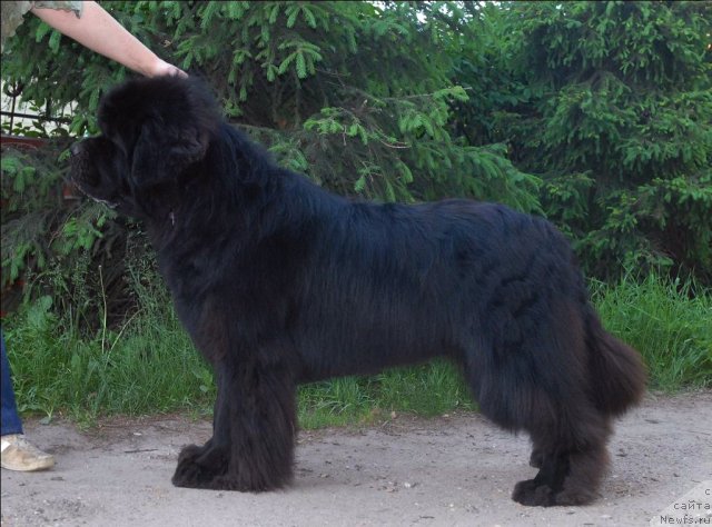 Фотография № 68913