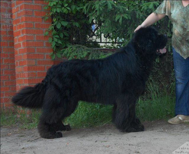 Фотография № 68916