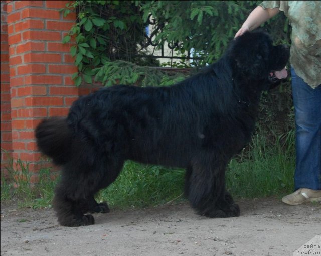 Фотография № 68917