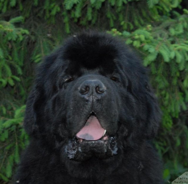 Фотография № 68922