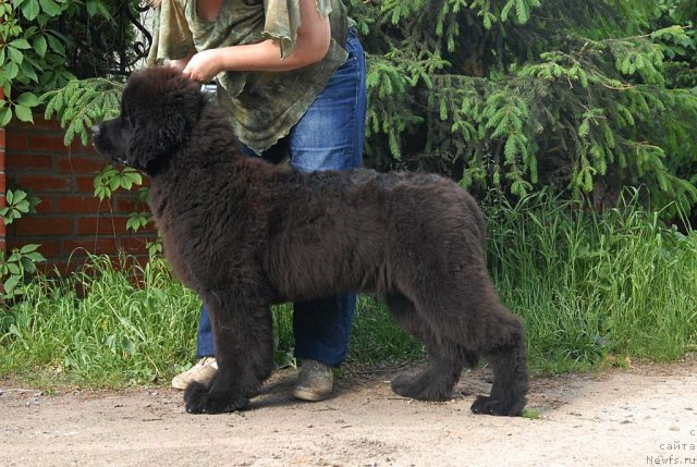 Фотография № 68924