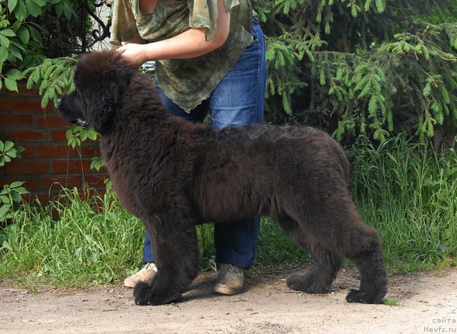 Фотография № 68926