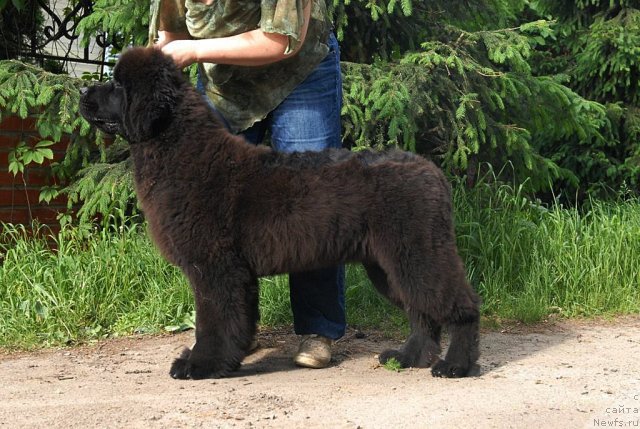 Фотография № 68927