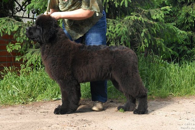 Фотография № 68928