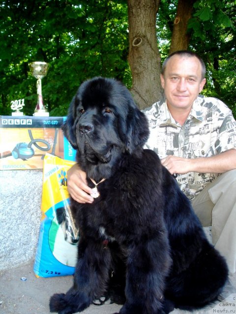 Фотография № 68989