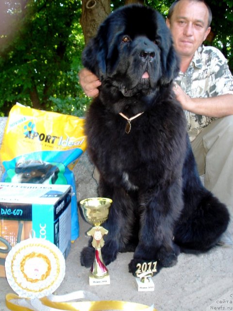 Фотография № 68990