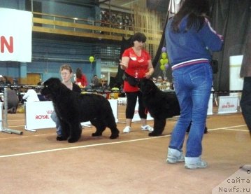 Фотография № 68998