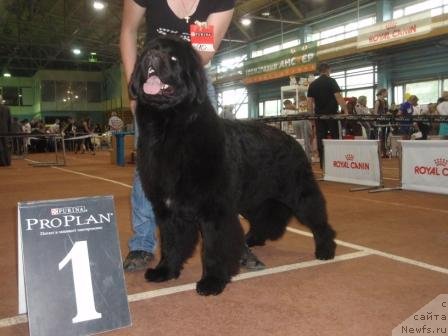 Фотография № 69001