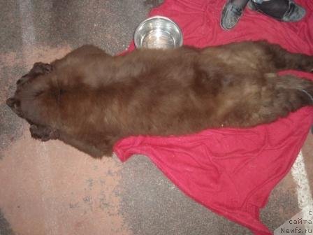 Фотография № 69005