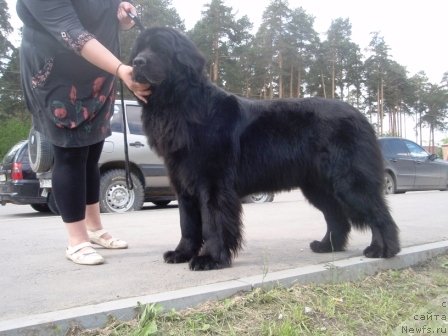 Фотография № 69007