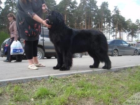 Фотография № 69012