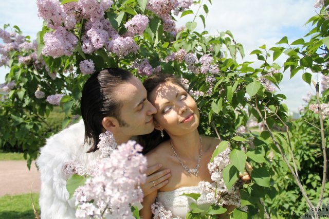 Фотография № 69030