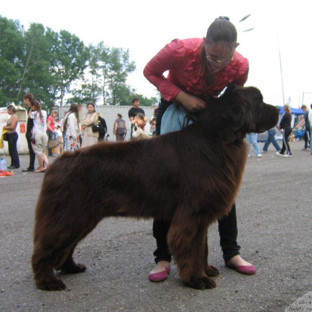 Фотография № 69041