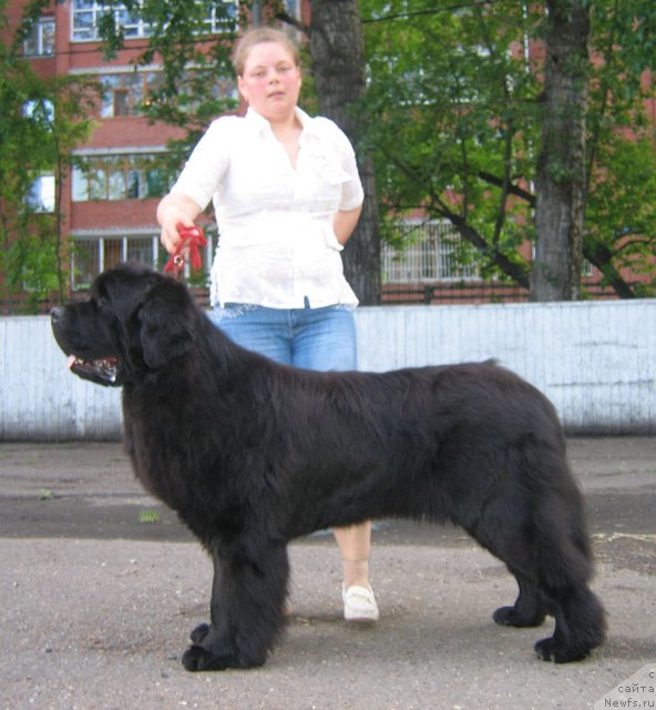 Фотография № 69042